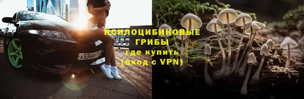 СК Снежногорск