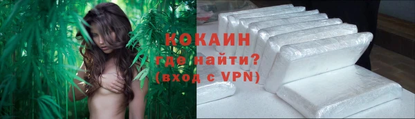 амф Сосновка