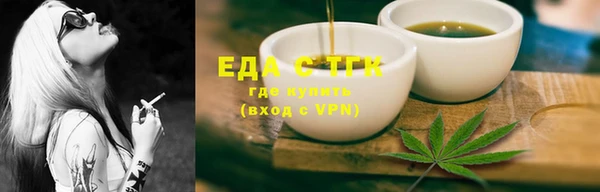 СК Снежногорск