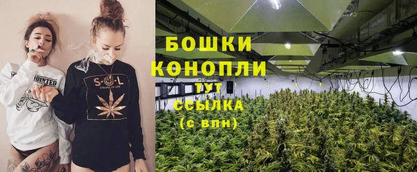 гидра Сосновоборск