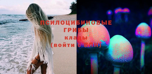mix Слюдянка