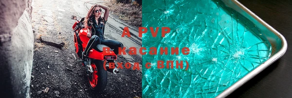 ПСИЛОЦИБИНОВЫЕ ГРИБЫ Козельск