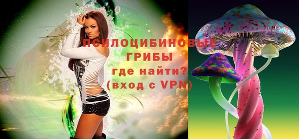 СК Снежногорск