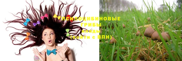 mix Слюдянка