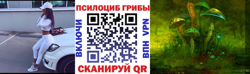 Галлюциногенные грибы Psilocybine cubensis  Кемерово 