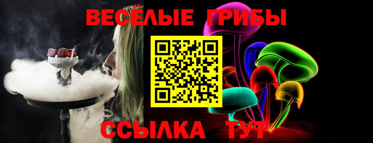 Кемерово  Галлюциногенные грибы Psilocybine cubensis  Вход с VPN 